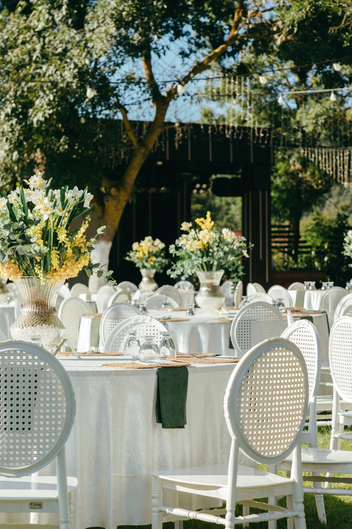 Doğum Günü Partisi