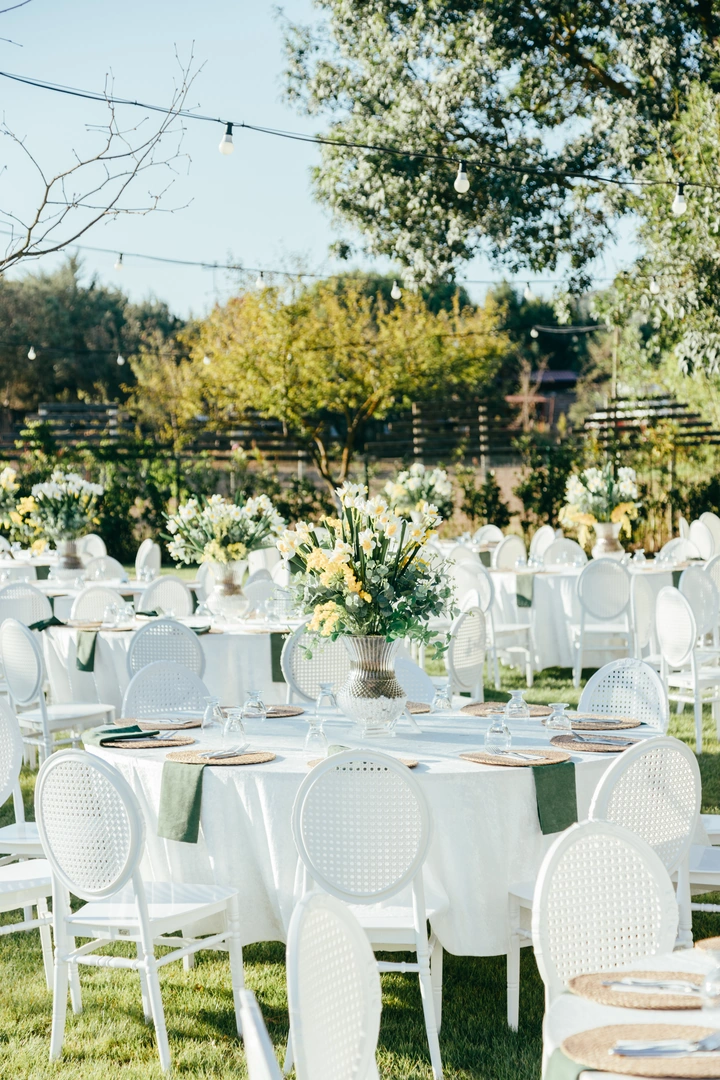Doğum Günü Partisi
